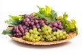 Bunches of white and pink grapes Royalty Free Stock Photo